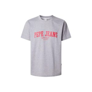 DROP 2 DERRIL TEE ΜΠΛΟΥΖΑ ΑΝΔΡΙΚΟ | LIGHT GREY